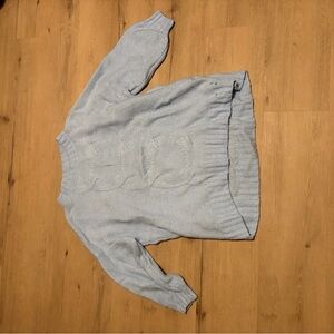 Aerie Soft Sky Blue Crew Neck Sweater